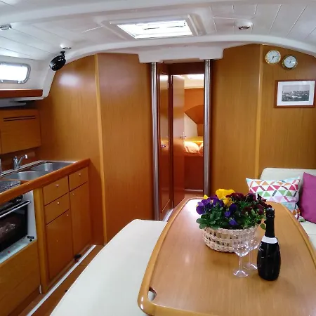 Sealife Experience On Sailboat Alexej *