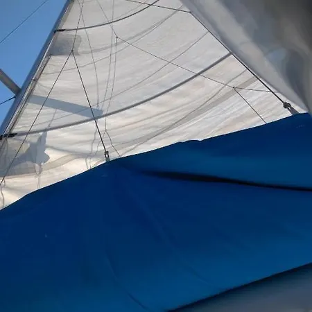 Sealife Experience On Sailboat Alexej