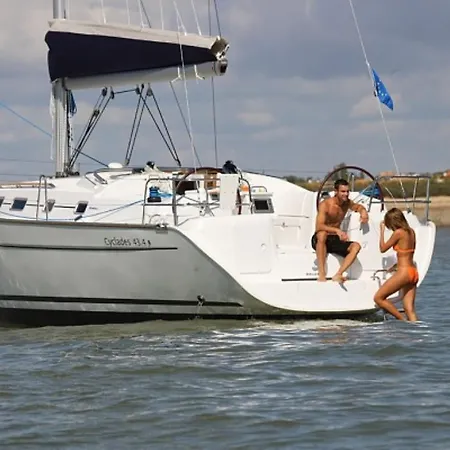 Sealife Experience On Sailboat Alexej Botel