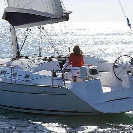 Sealife Experience On Sailboat Alexej *