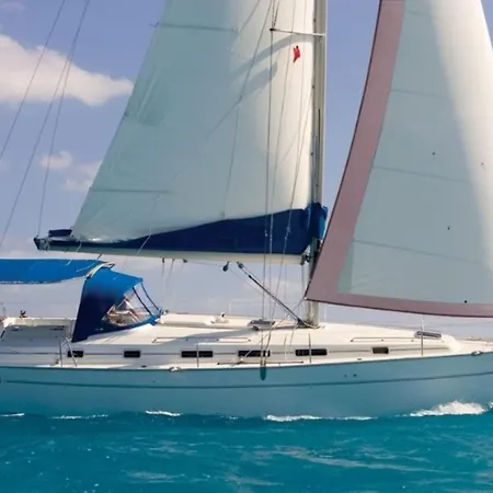 Sealife Experience On Sailboat Alexej Mgarr